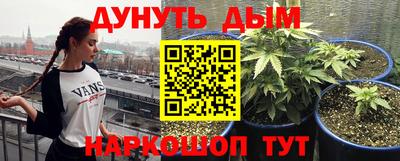 spice Кулебаки